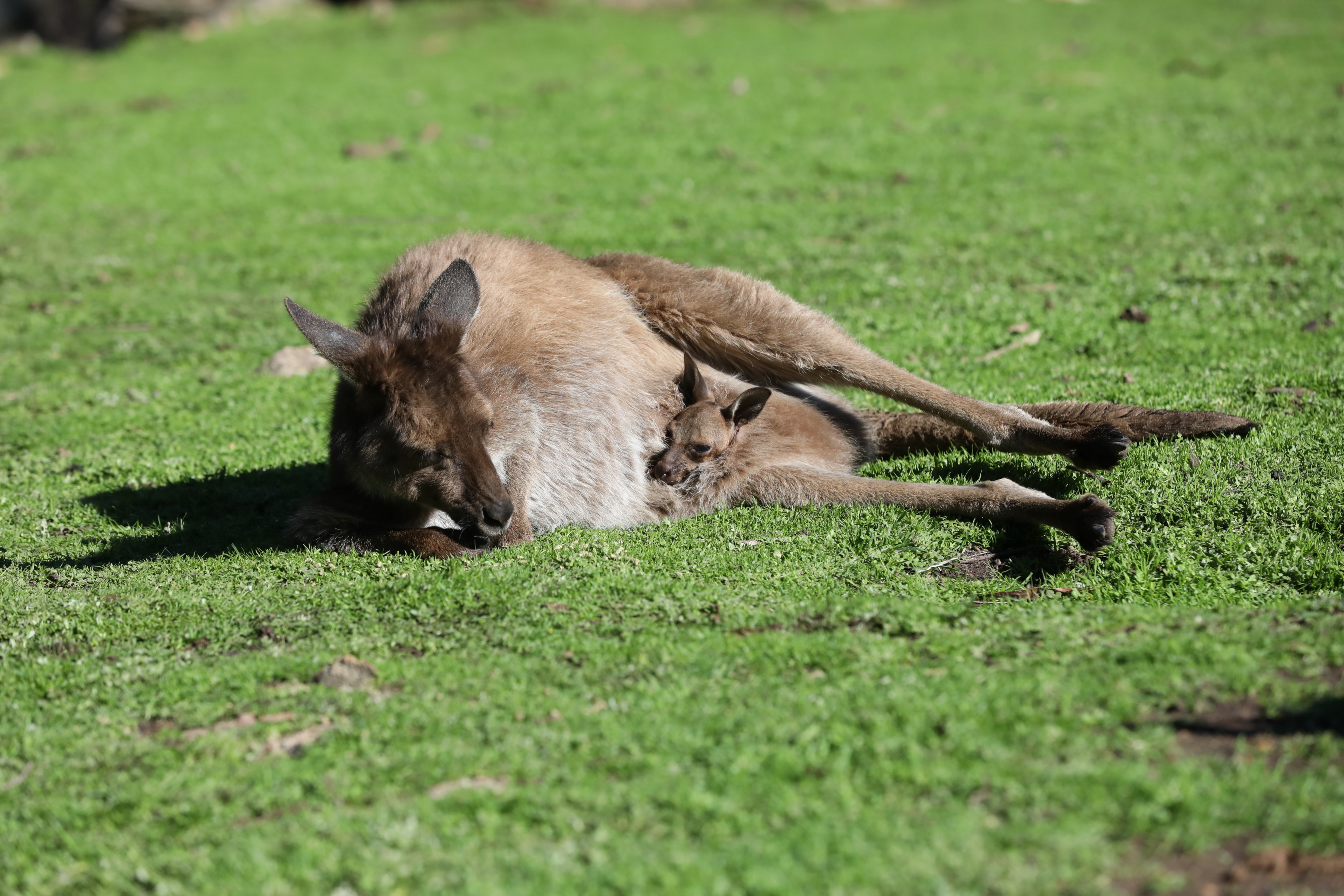 2019 07 19 13 00 42 Canon EOS 5D Mark IV 0003